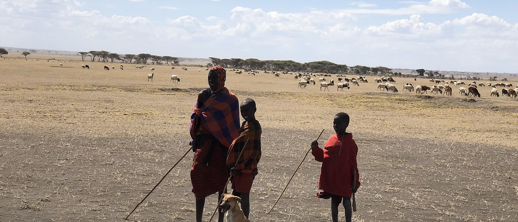 Three herders walking across an open plain with a dog beside them and cattle in the distance
