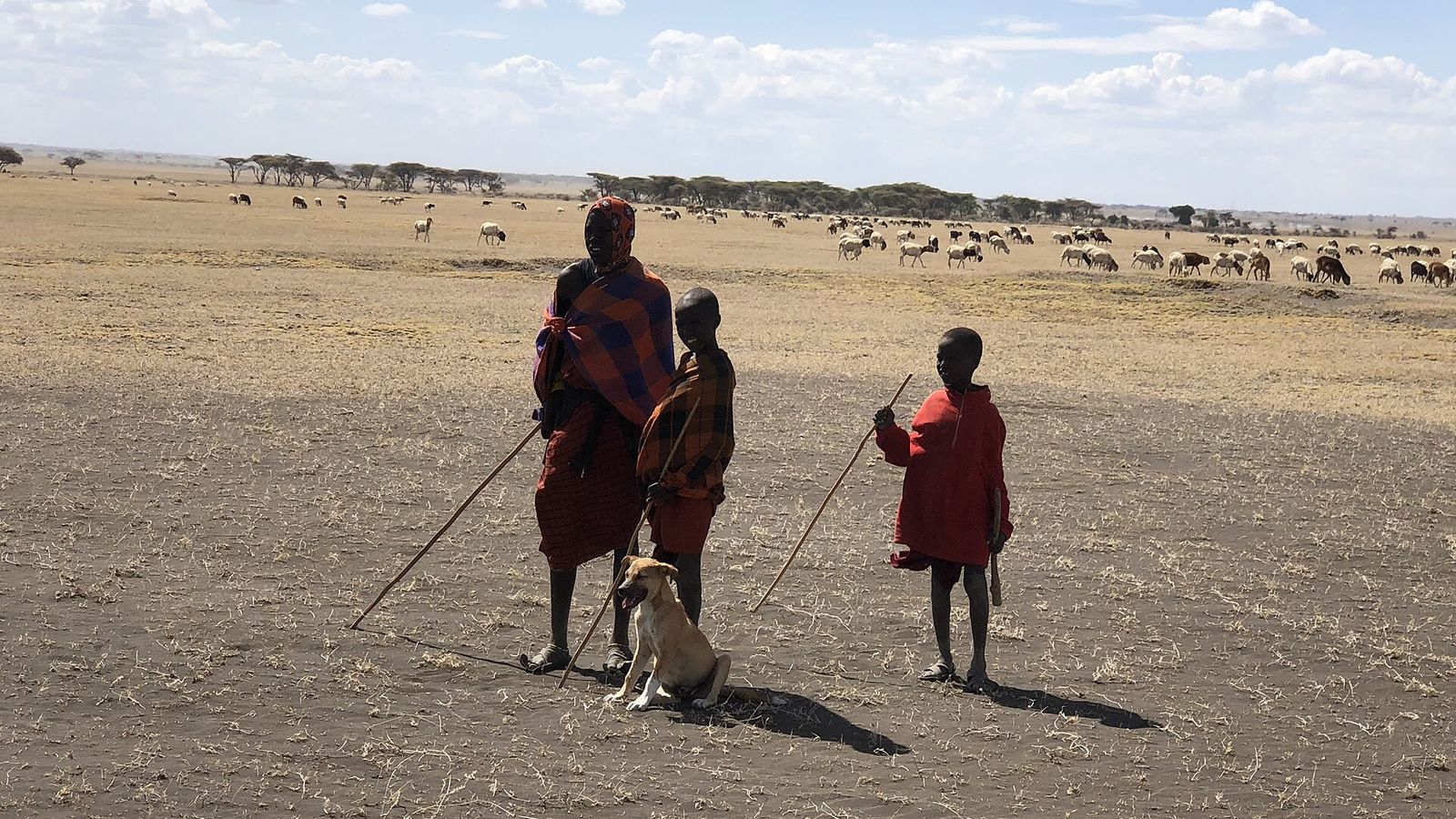 Herders walking across an open plain with a dog beside them