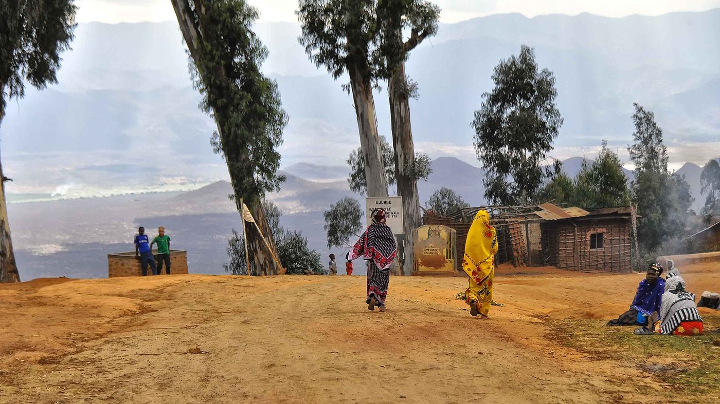 A village street in the Tanzanian highlands with people walking between houses and eucalyptus trees